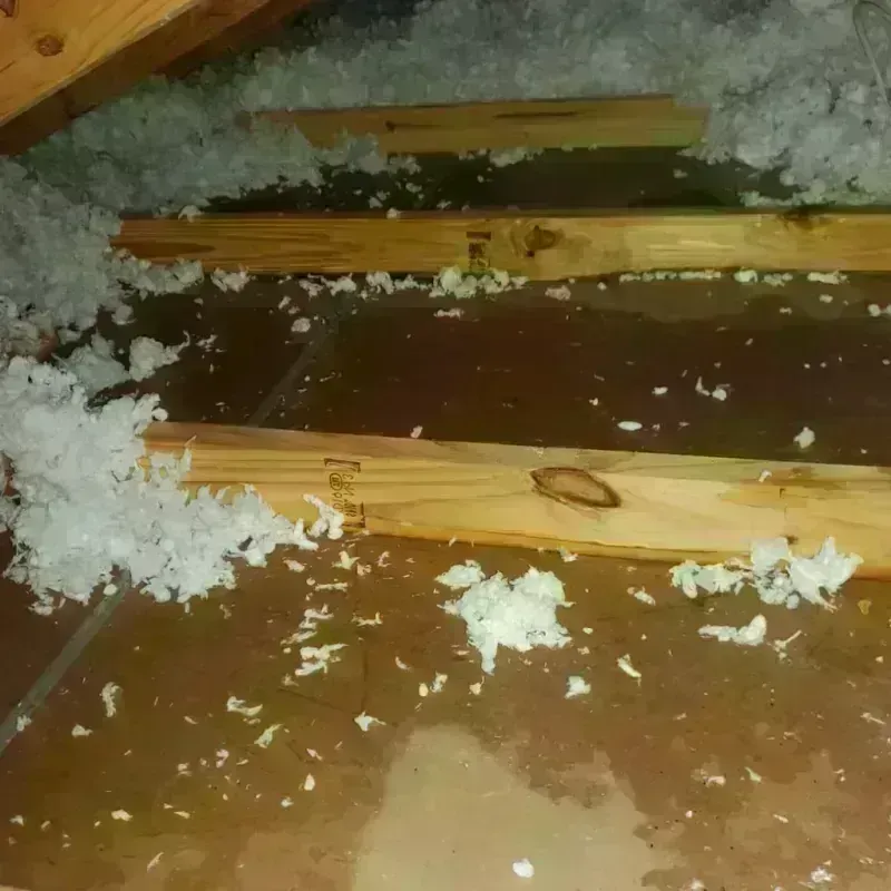 Attic Water Damage in Mission Hills, KS